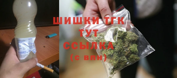 сатива Арсеньев