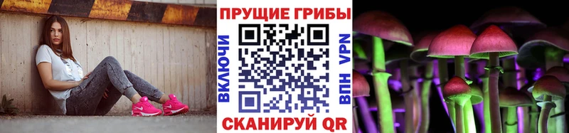 дарнет шоп  Сурск  KRAKEN ссылка  Псилоцибиновые грибы ЛСД 